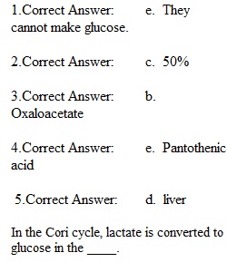 Chapter 7 Quiz